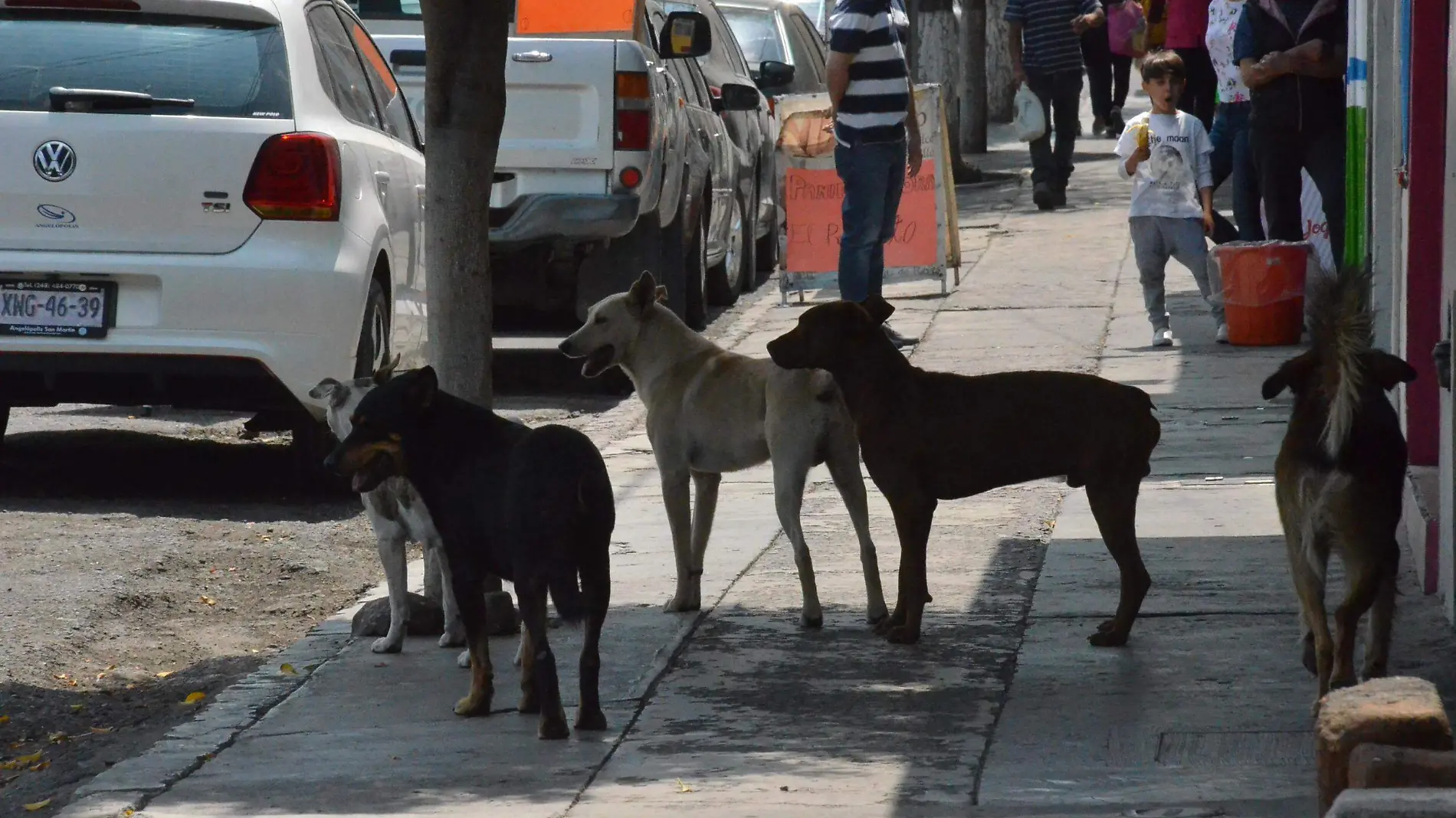 EN SAN JUAN